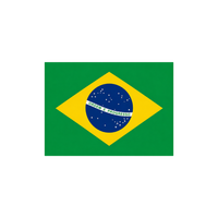 Brazil Flag Radiant Vinyl Sticker | Moto Sticker BD