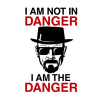 I Am Not In Danger Vinyl Sticker | Moto Sticker BD