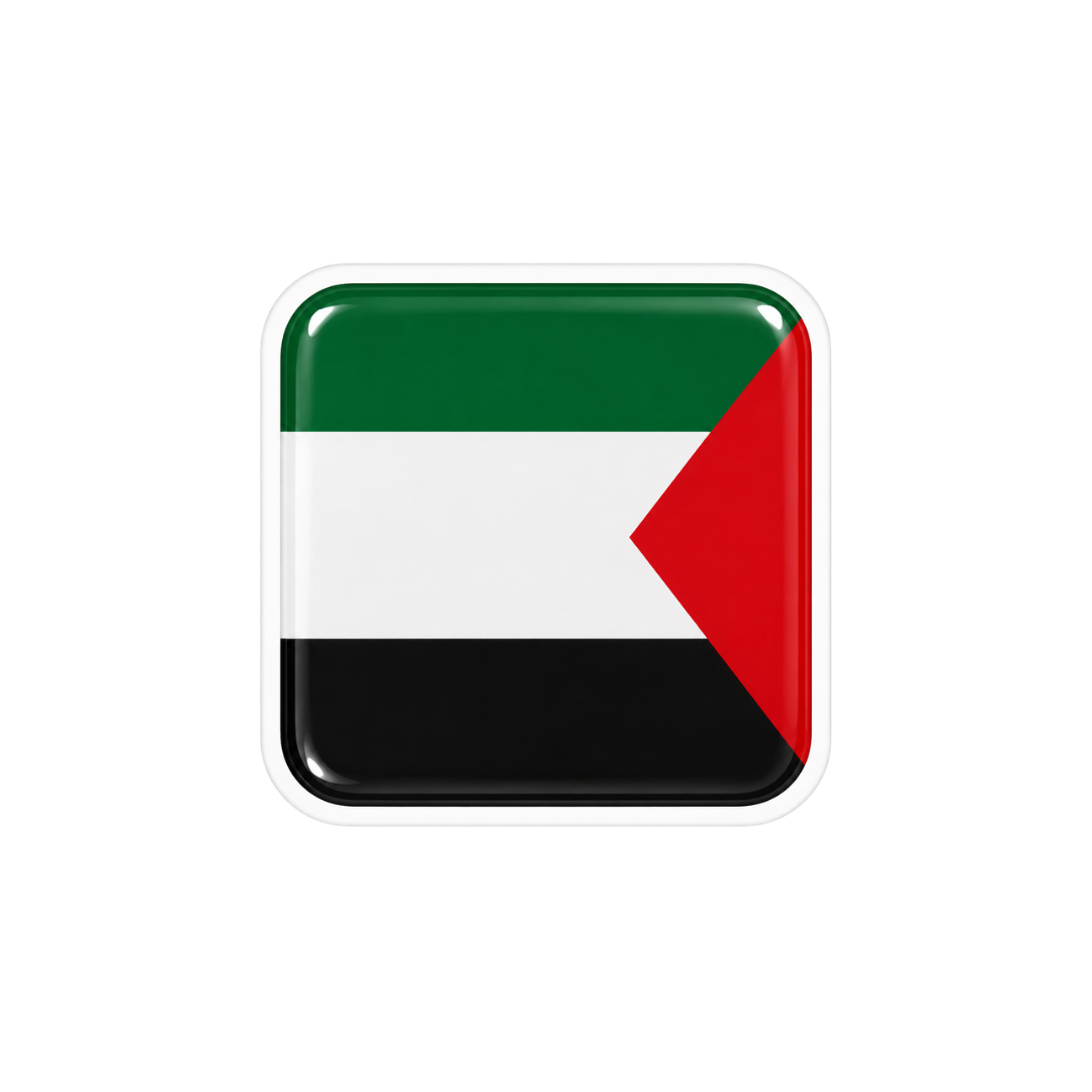 Palestine Flag Ambush Vinyl Sticker | Moto Sticker BD