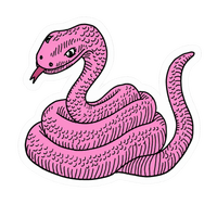 Pink Serpent Style Lady Biker Vinyl Sticker | Moto Sticker BD | Moto Sticker BD